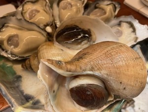 赤バイ貝と牡蠣