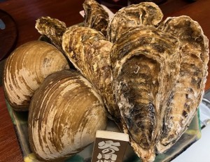 ホッキ貝と室蘭牡蠣