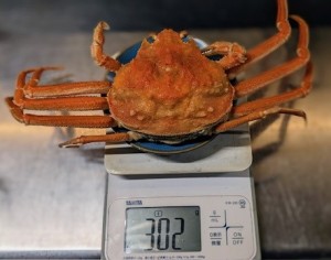 北海道清掃アルバイト300g