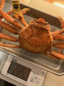 2023,12,01セイコ280g