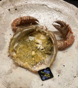 2024,4,18毛蟹ミソ