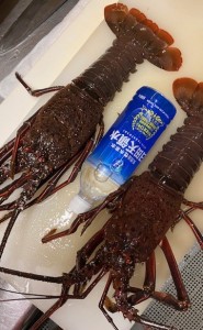 2024.0807伊勢海老-1