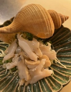 2024,0807赤バイ貝