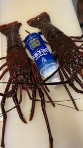 2024,9,18いせえび二匹